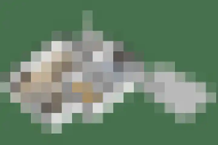 Bizetplantsoen 41 Tilburg thumbnail 42