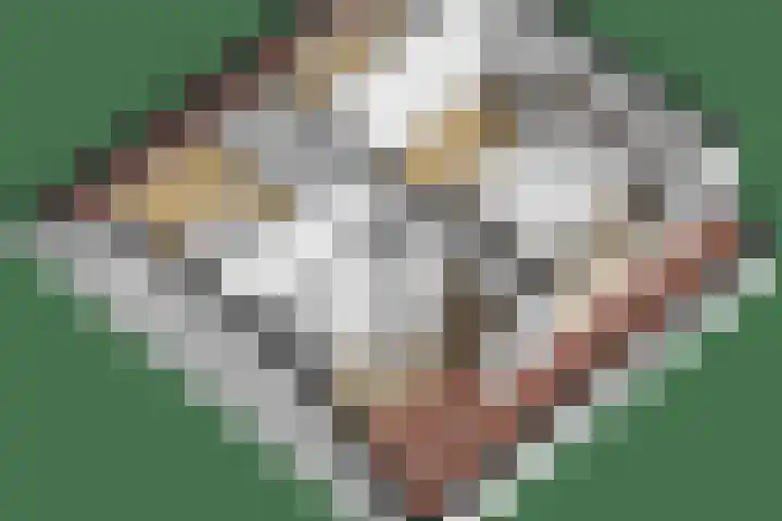 Bizetplantsoen 41 Tilburg thumbnail 46