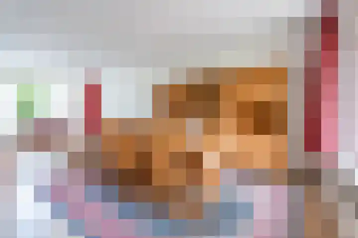 Bizetplantsoen 41 Tilburg thumbnail 7
