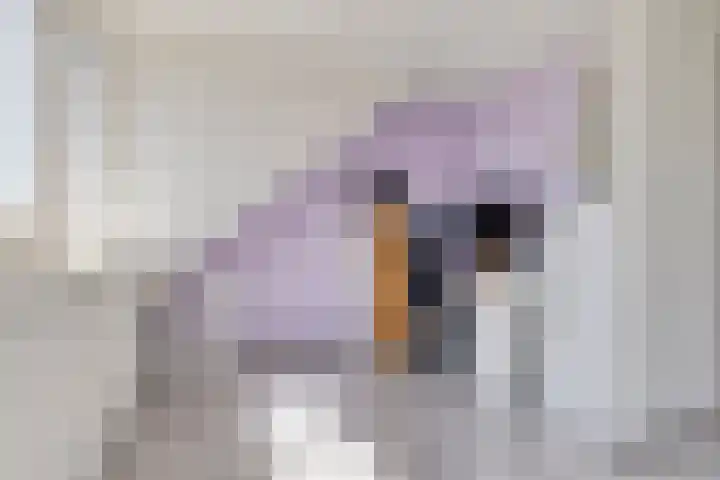 Bizetstraat 1 Almere thumbnail 23