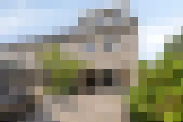 Bizetstraat 1 Almere thumbnail 26