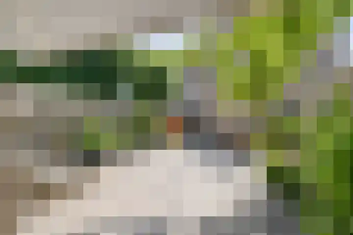 Bizetstraat 1 Almere thumbnail 27