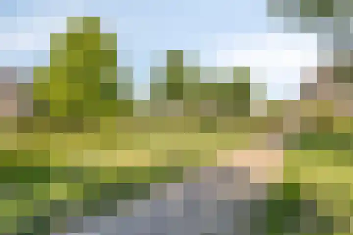 Bizetstraat 1 Almere thumbnail 30