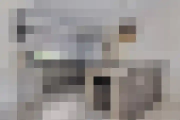 Bizetstraat 1 Almere thumbnail 8