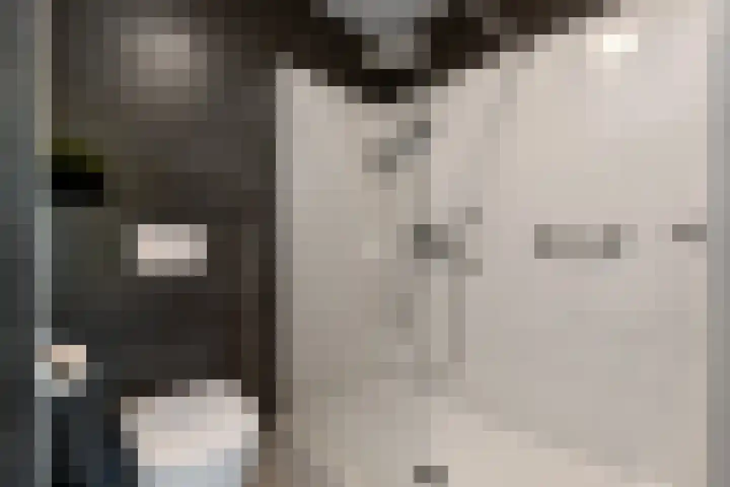 Bizetstraat 1 Elst thumbnail 12