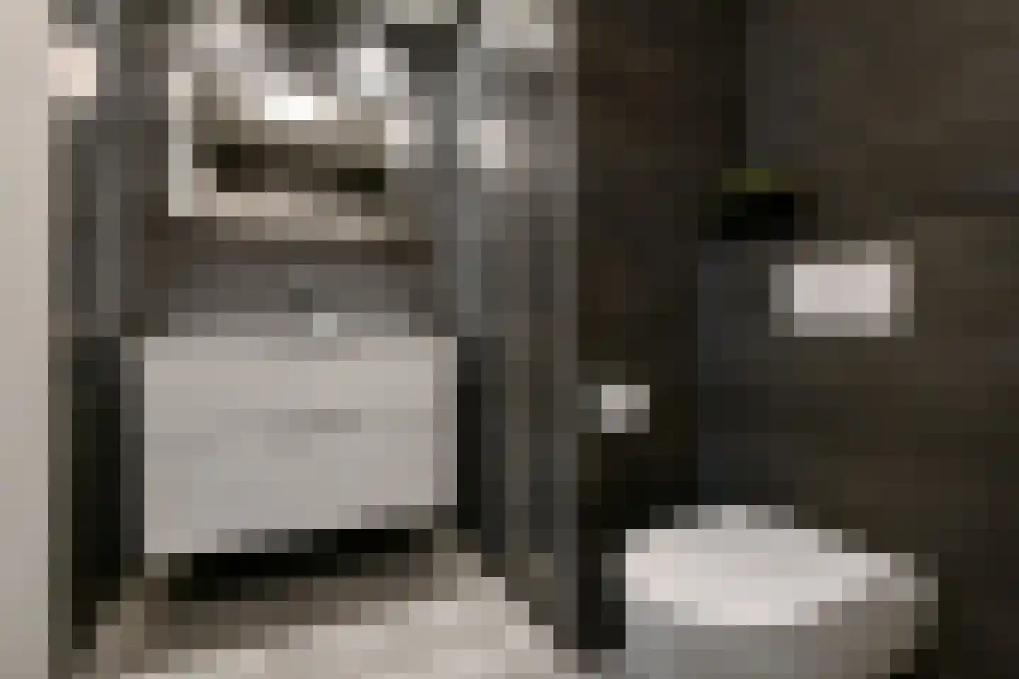 Bizetstraat 1 Elst thumbnail 13