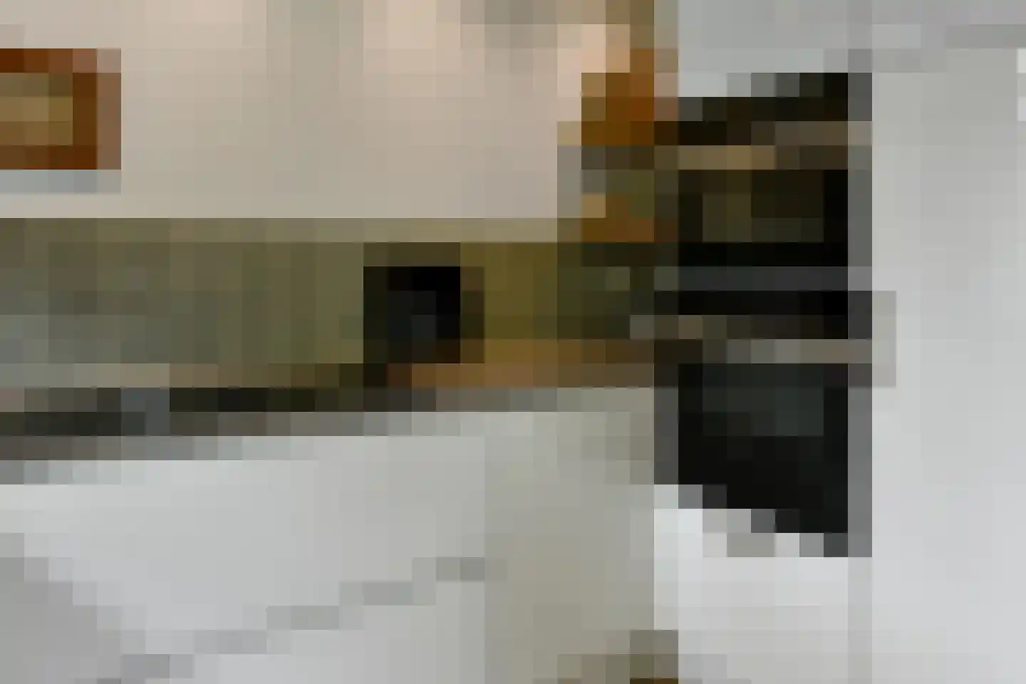Bizetstraat 1 Elst thumbnail 16