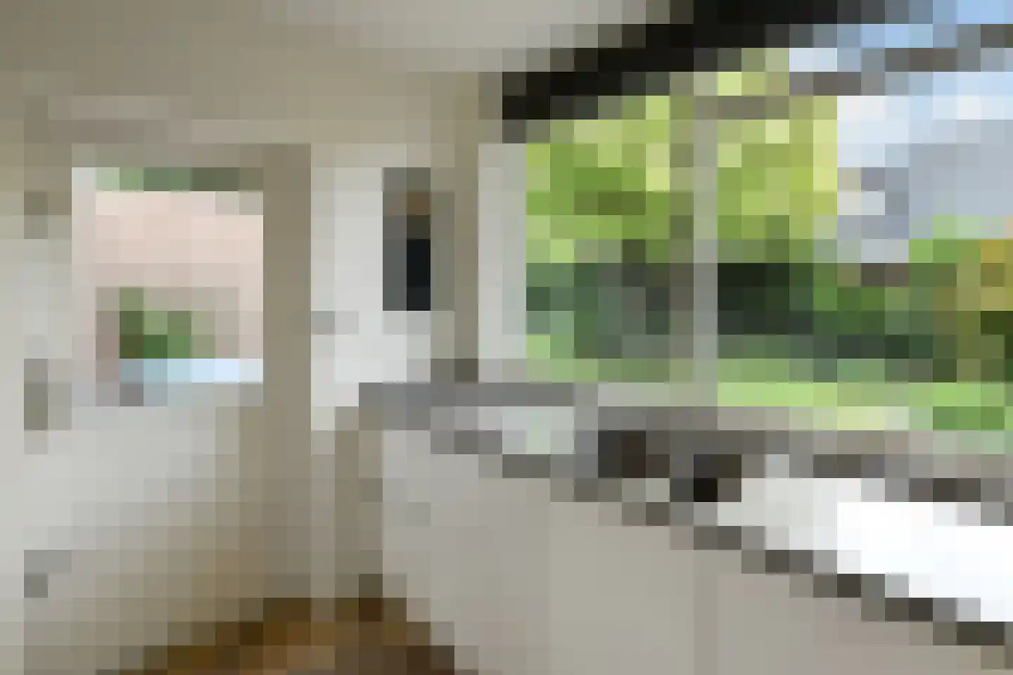 Bizetstraat 1 Elst thumbnail 17