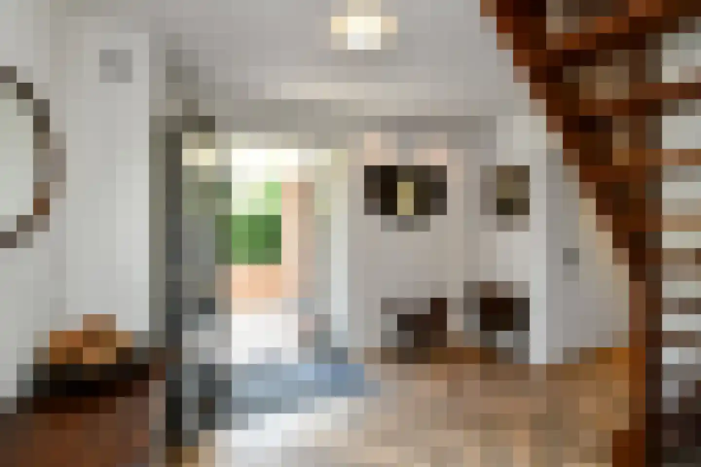 Bizetstraat 1 Elst thumbnail 18