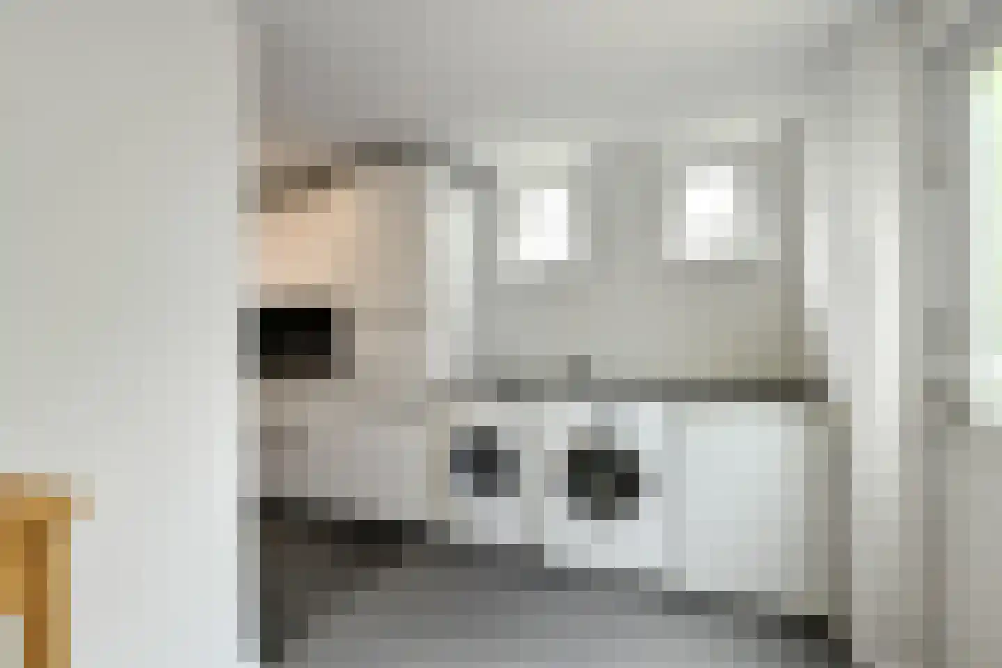 Bizetstraat 1 Elst thumbnail 21