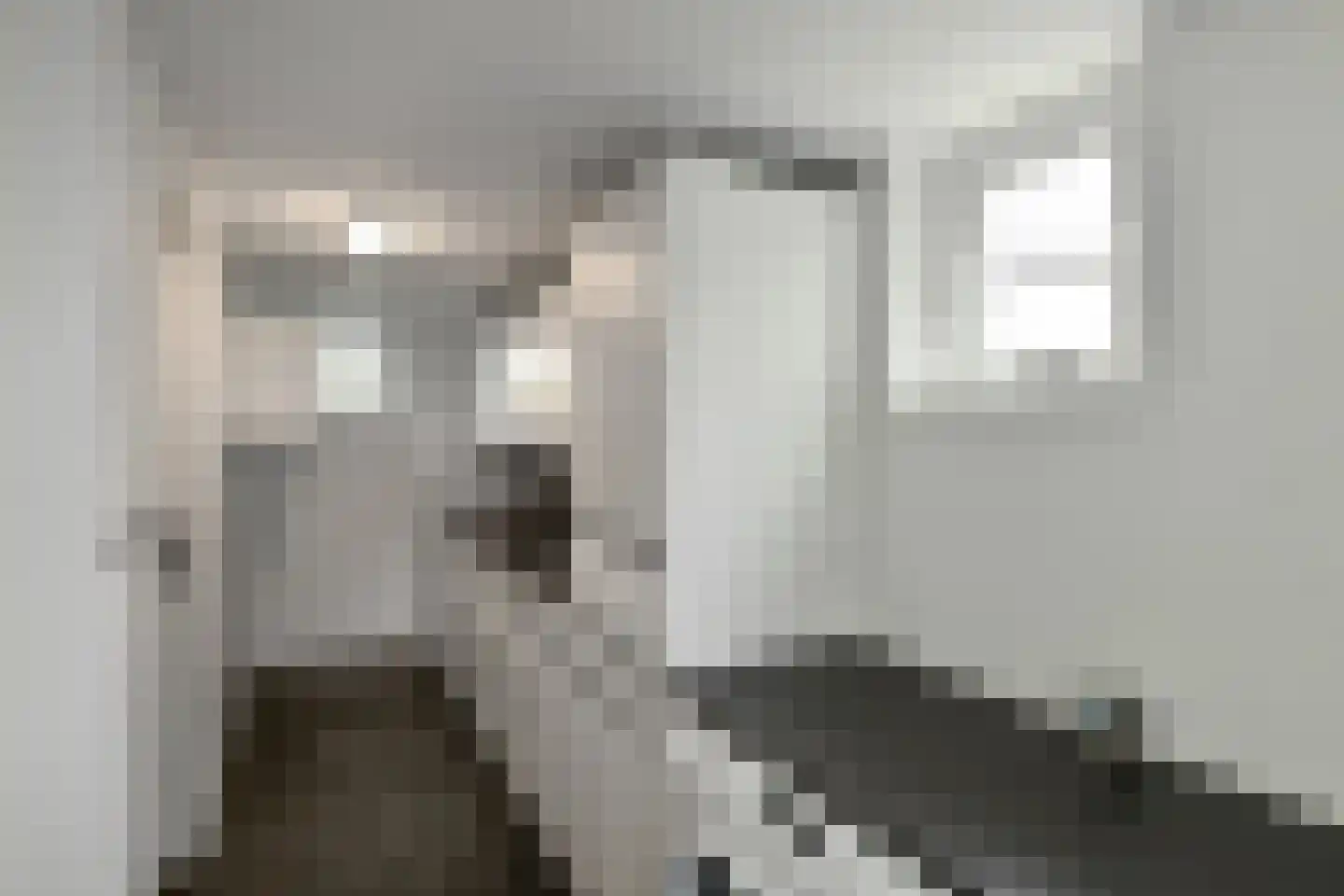 Bizetstraat 1 Elst thumbnail 22
