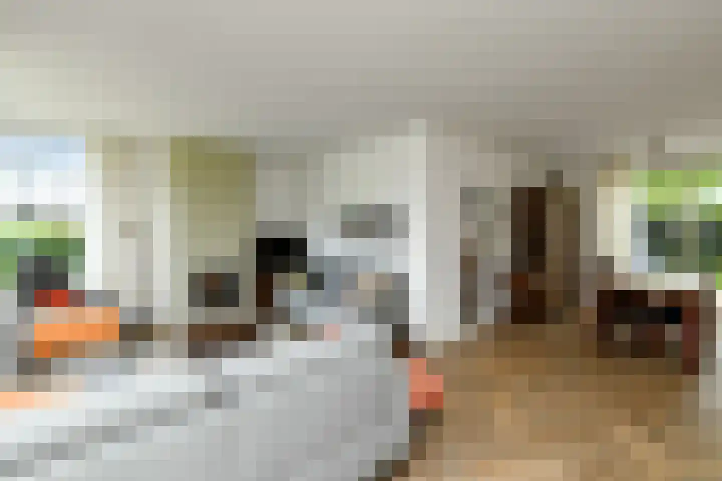 Bizetstraat 1 Elst thumbnail 4