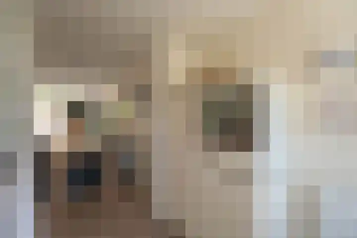 Bizetstraat 10 Voorhout thumbnail 10