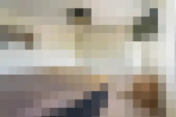 Bizetstraat 10 Voorhout thumbnail 15