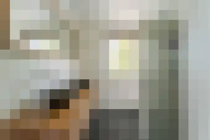 Bizetstraat 10 Voorhout thumbnail 18