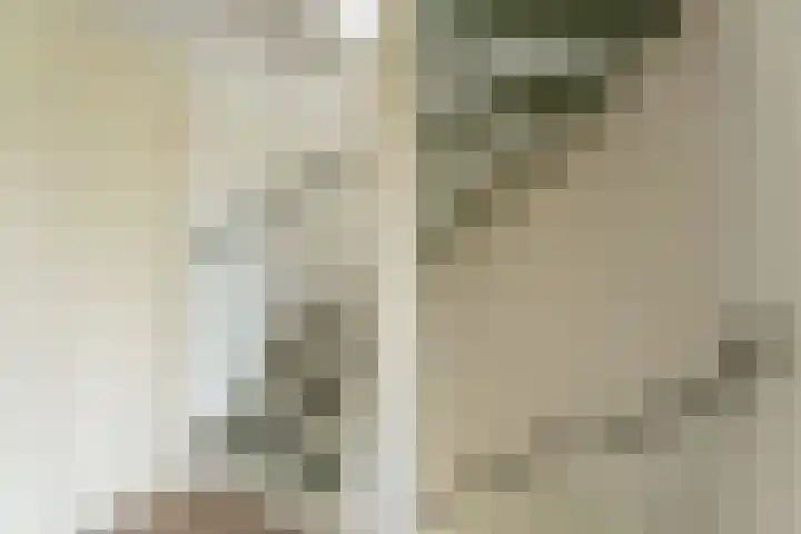 Bizetstraat 10 Voorhout thumbnail 21