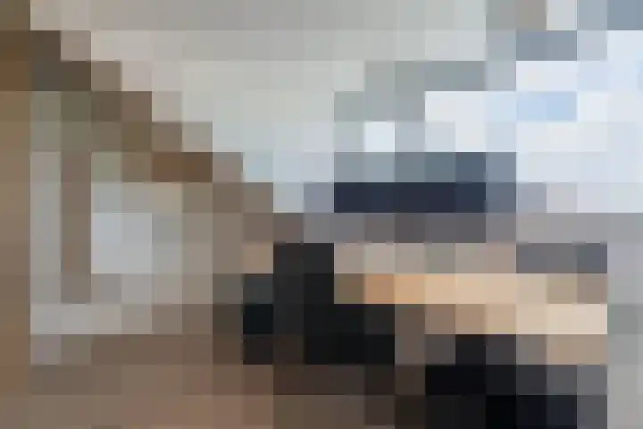 Bizetstraat 10 Voorhout thumbnail 22