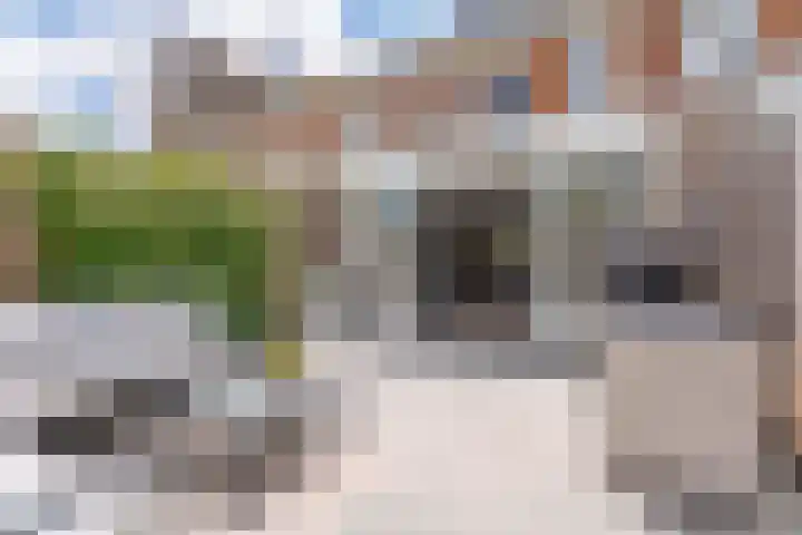 Bizetstraat 10 Voorhout thumbnail 28
