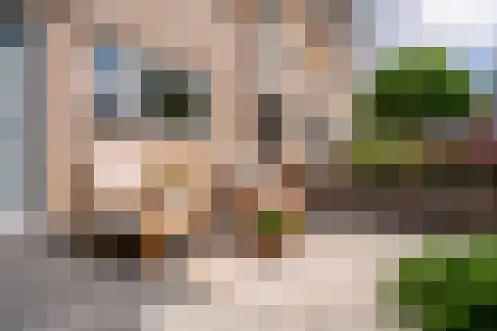 Bizetstraat 10 Voorhout thumbnail 30