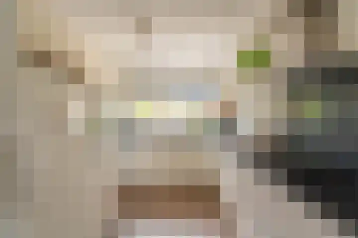 Bizetstraat 10 Voorhout thumbnail 7