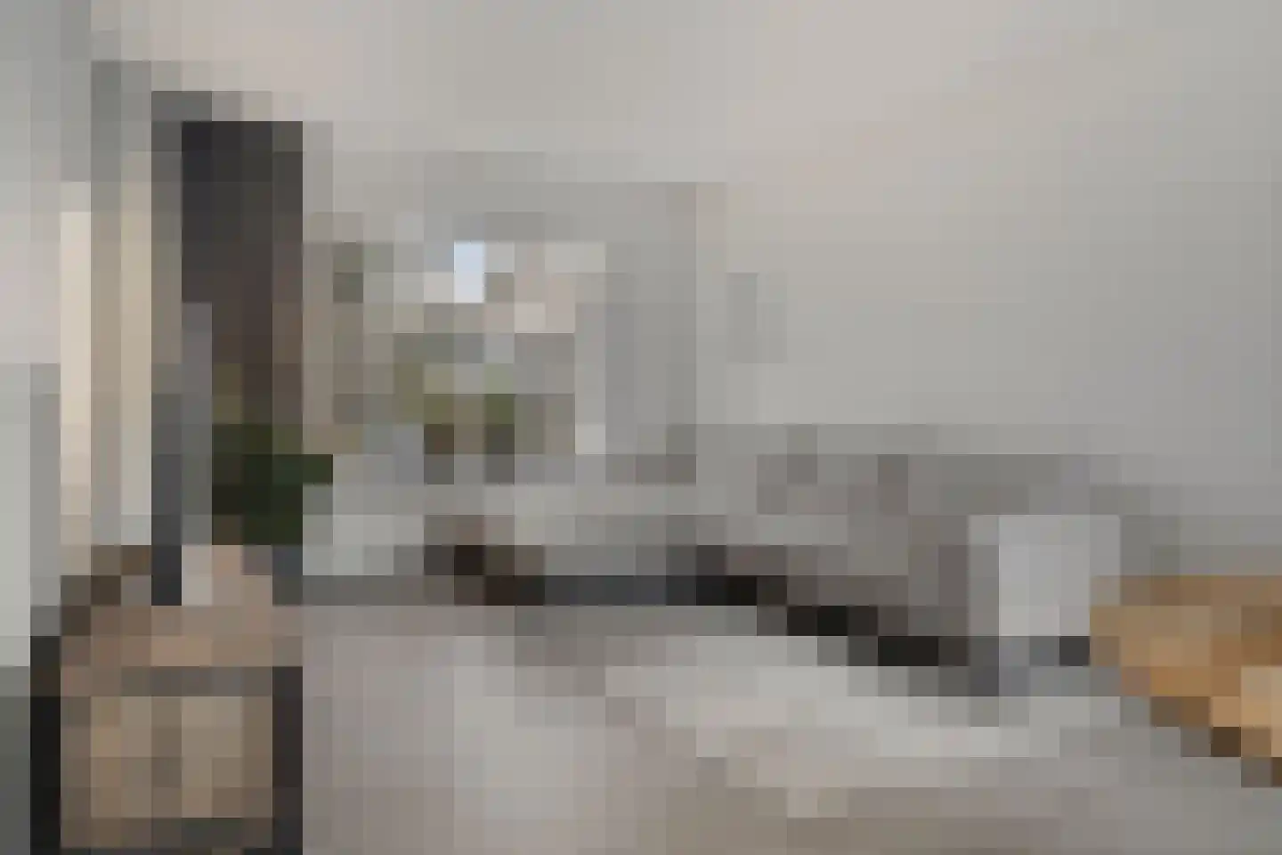 Bizetstraat 12 Axel thumbnail 12