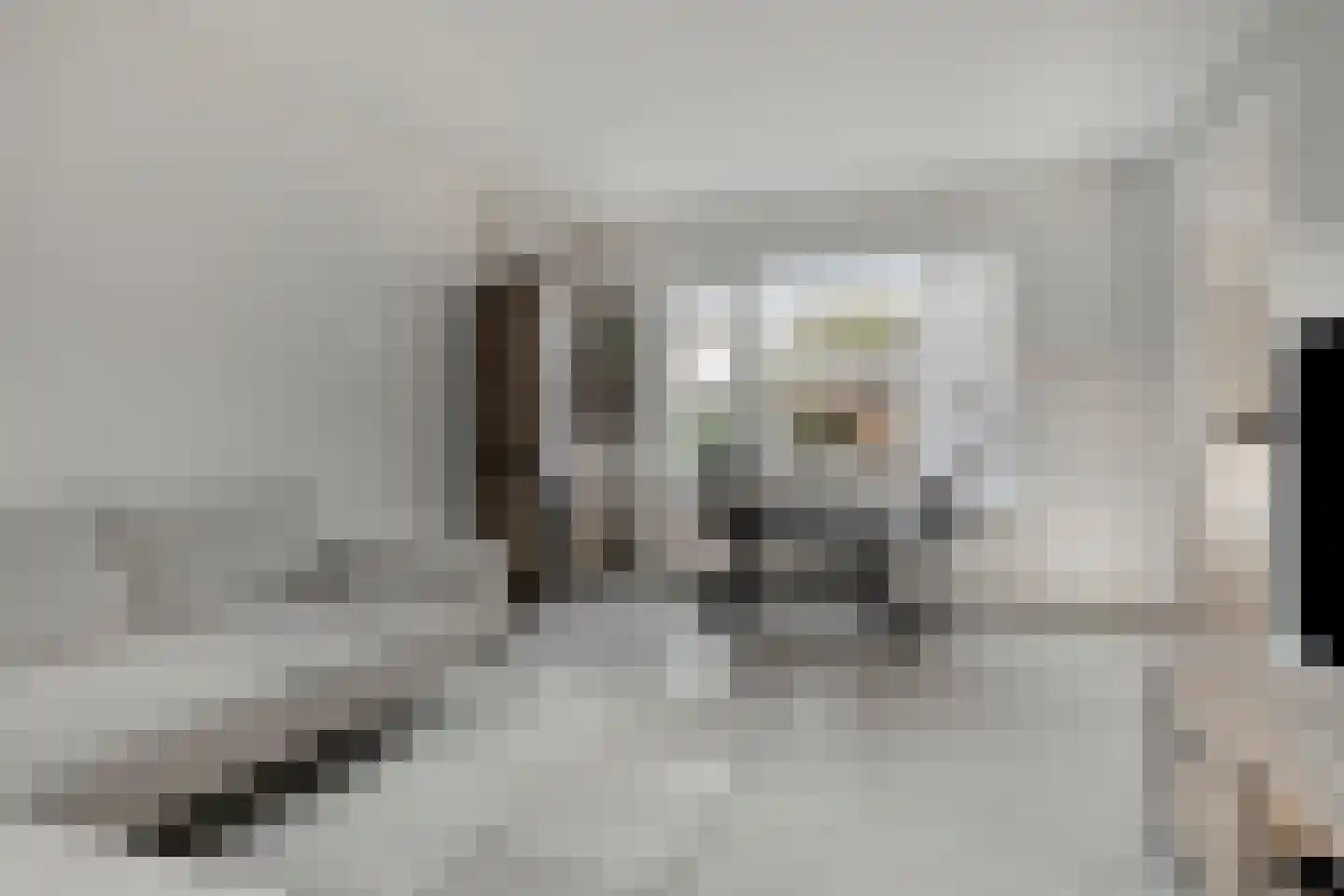 Bizetstraat 12 Axel thumbnail 14