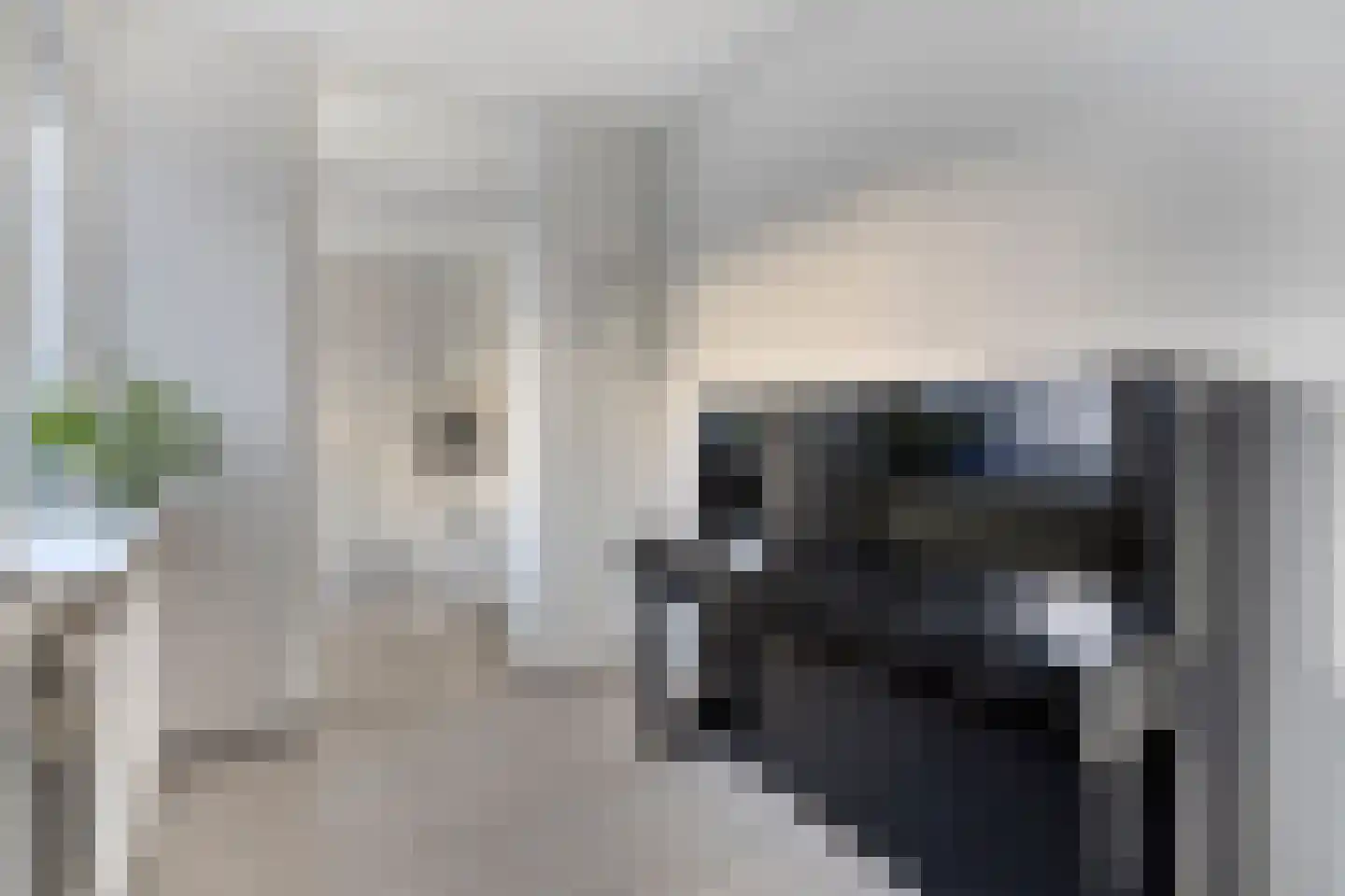 Bizetstraat 12 Axel thumbnail 16