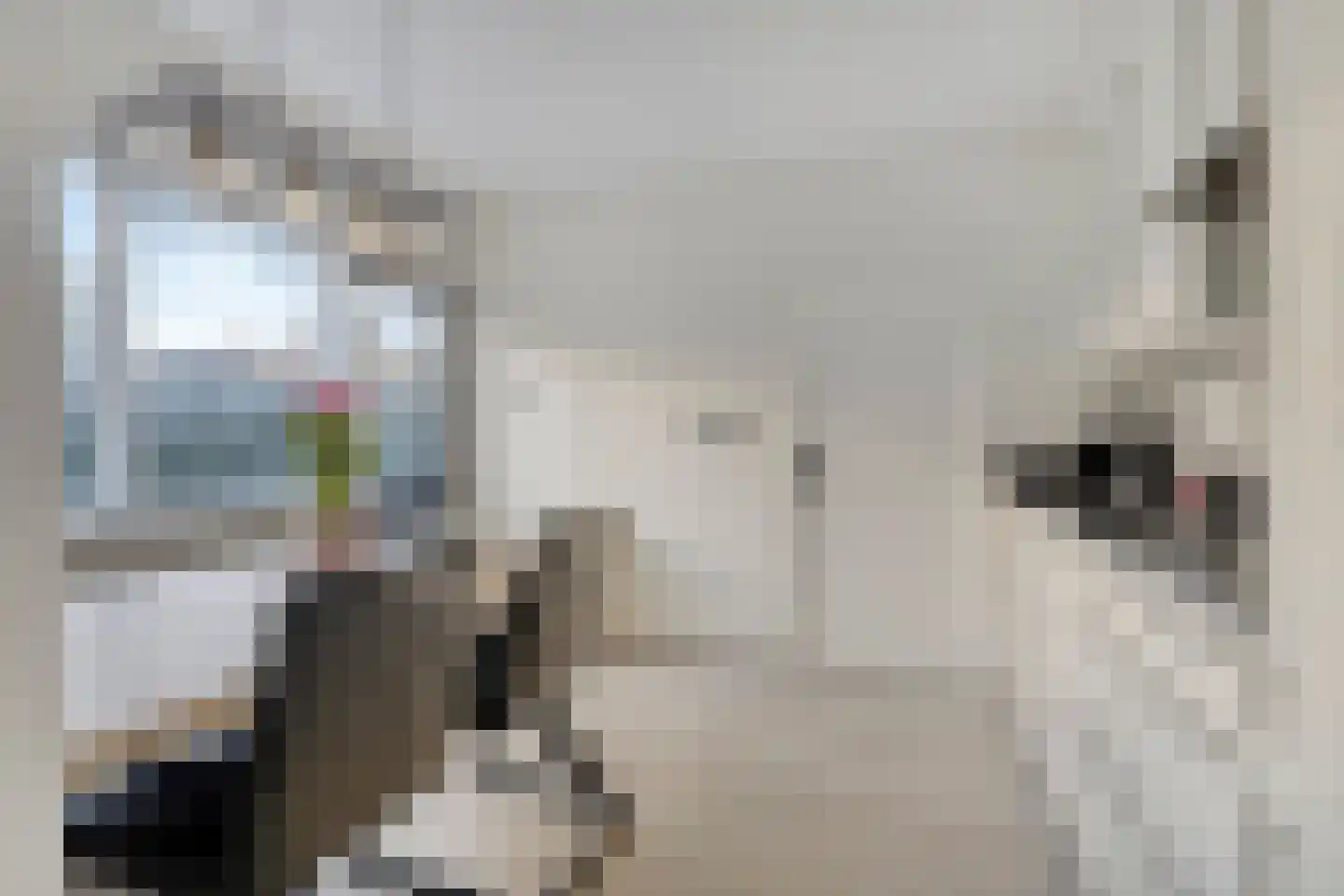 Bizetstraat 12 Axel thumbnail 17