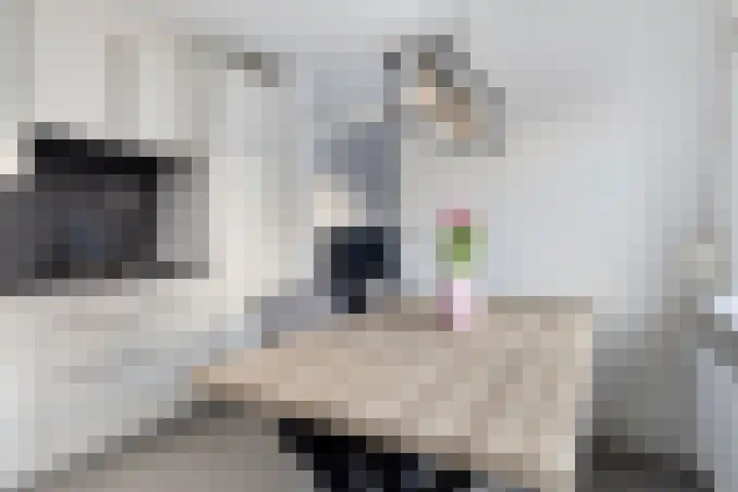 Bizetstraat 12 Axel thumbnail 18