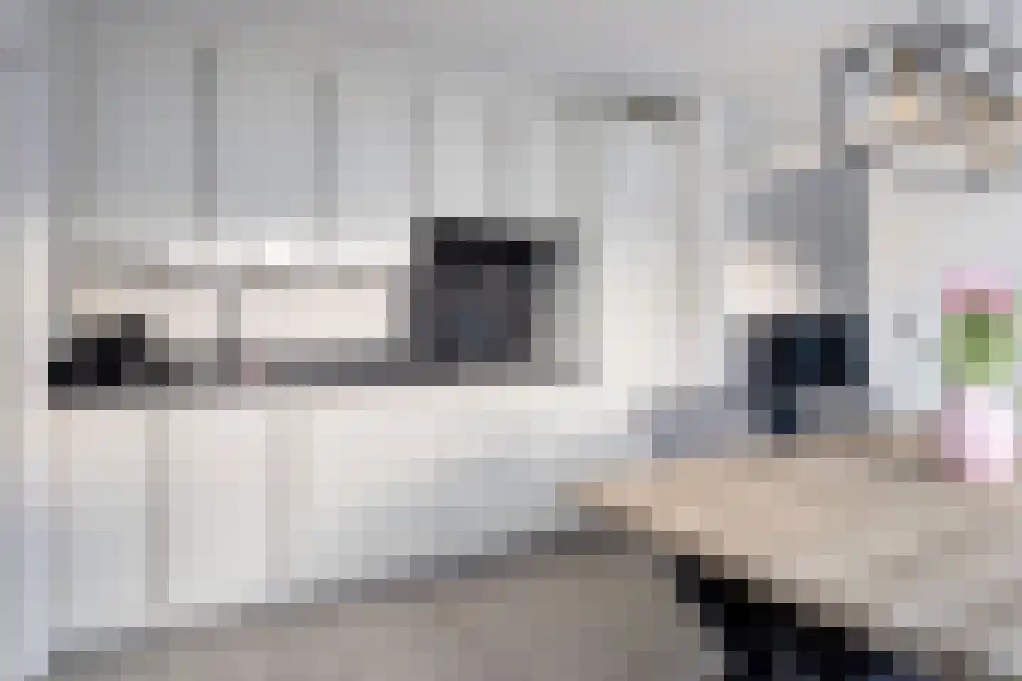 Bizetstraat 12 Axel thumbnail 19