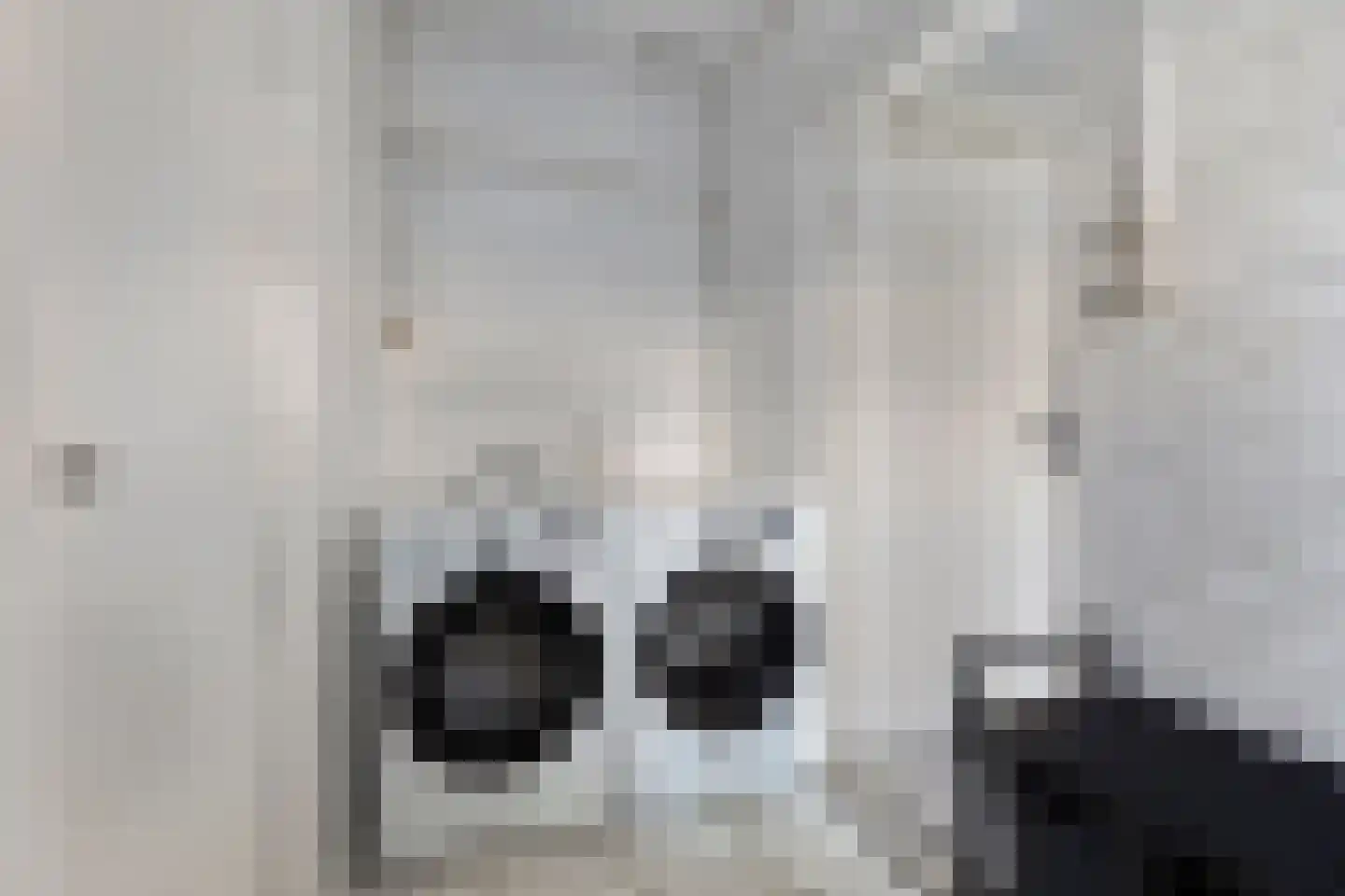 Bizetstraat 12 Axel thumbnail 20