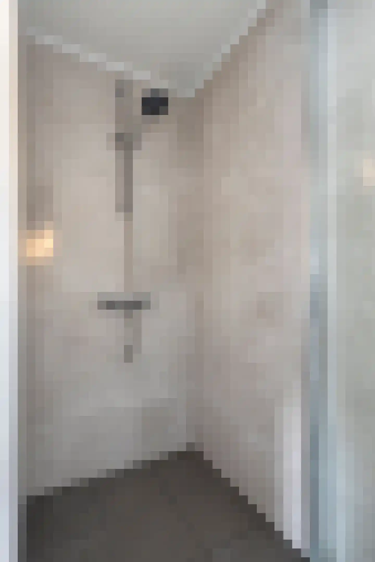Bizetstraat 12 Axel thumbnail 27