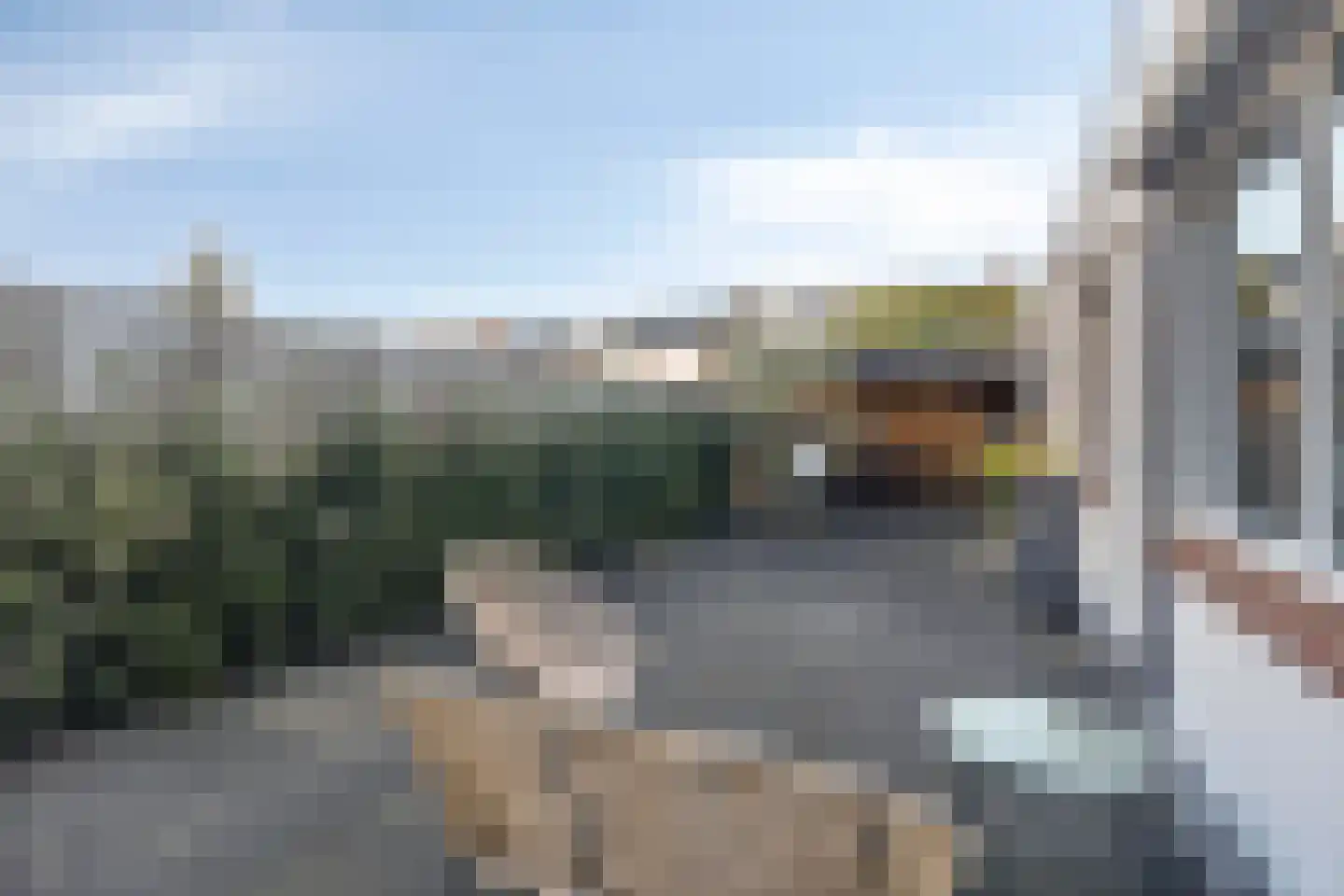 Bizetstraat 12 Axel thumbnail 30