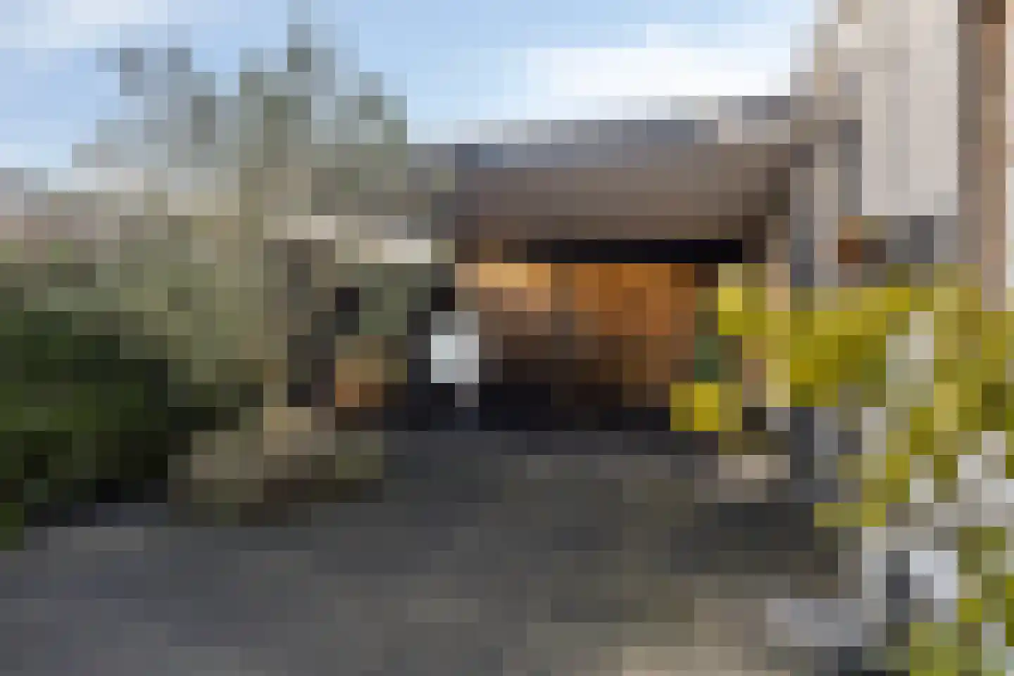 Bizetstraat 12 Axel thumbnail 32