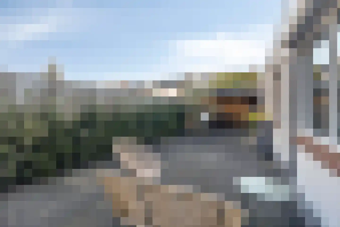 Bizetstraat 12 Axel thumbnail 5
