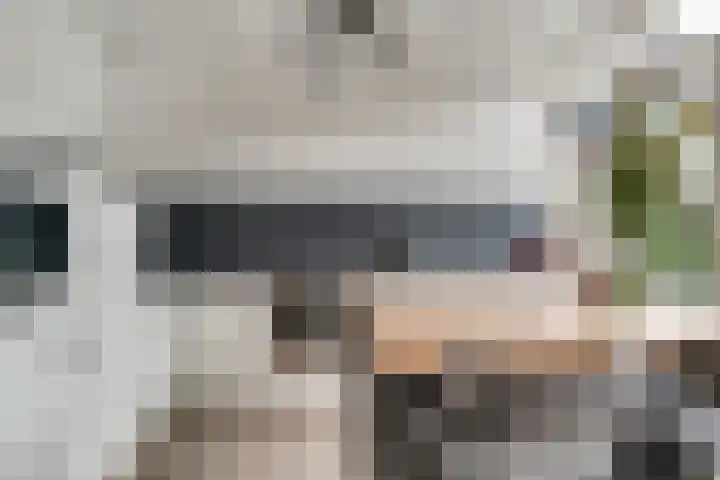 Bizetstraat 12 Zevenaar thumbnail 12