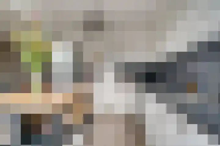Bizetstraat 12 Zevenaar thumbnail 13