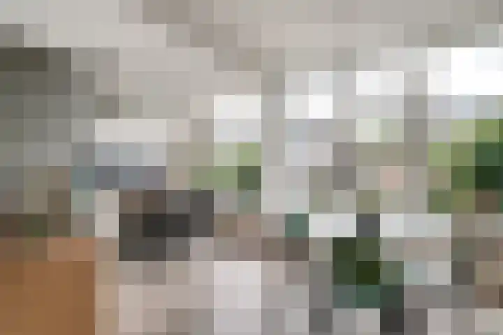 Bizetstraat 12 Zevenaar thumbnail 16