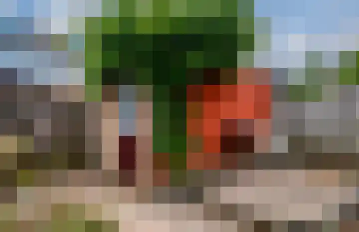 Bizetstraat 12 Zevenaar thumbnail 18