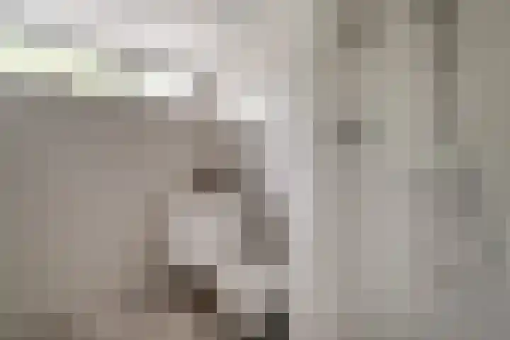 Bizetstraat 12 Zevenaar thumbnail 34