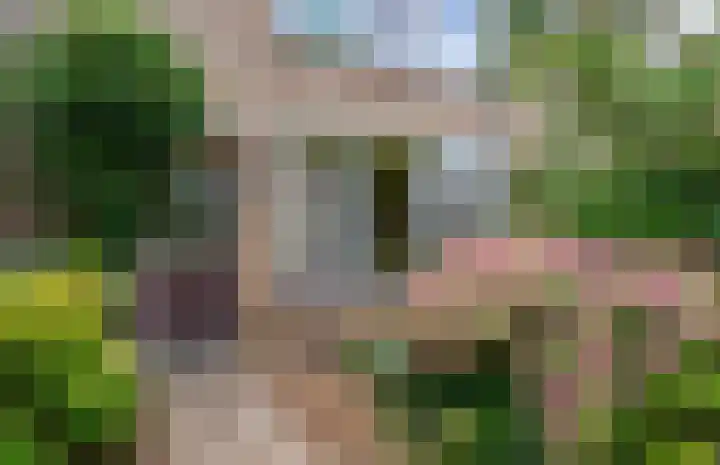 Bizetstraat 12 Zevenaar thumbnail 5
