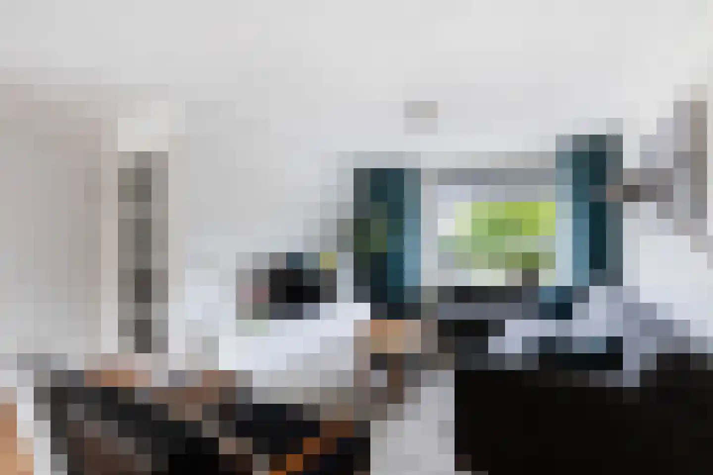 Bizetstraat 13 Capelle aan den IJssel thumbnail 10