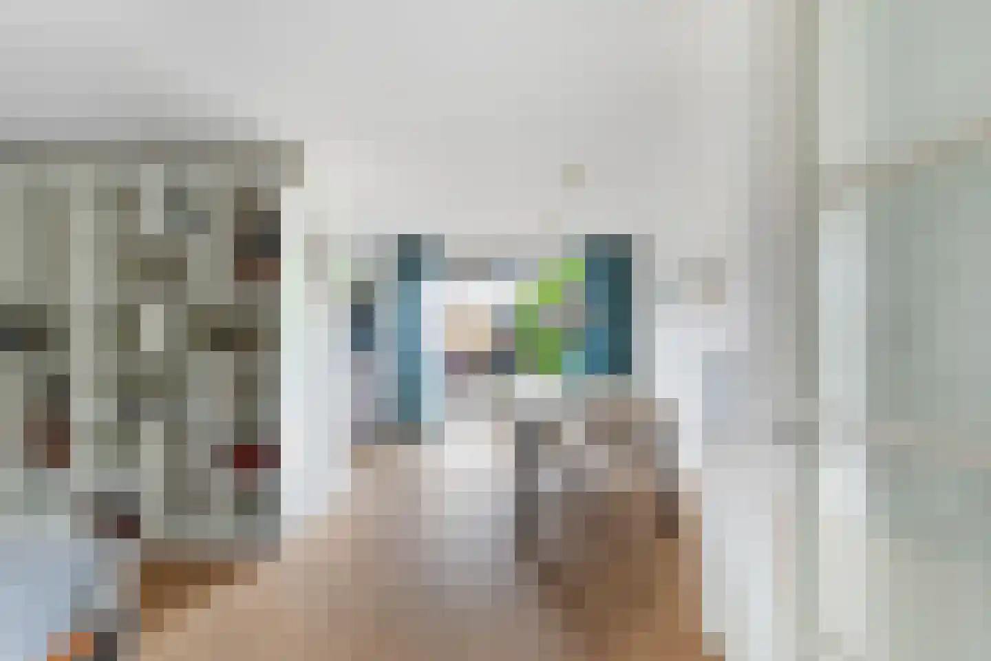 Bizetstraat 13 Capelle aan den IJssel thumbnail 11