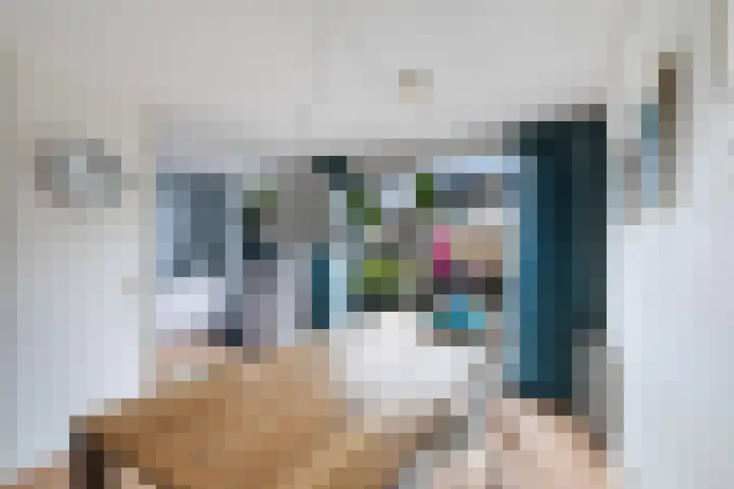 Bizetstraat 13 Capelle aan den IJssel thumbnail 15