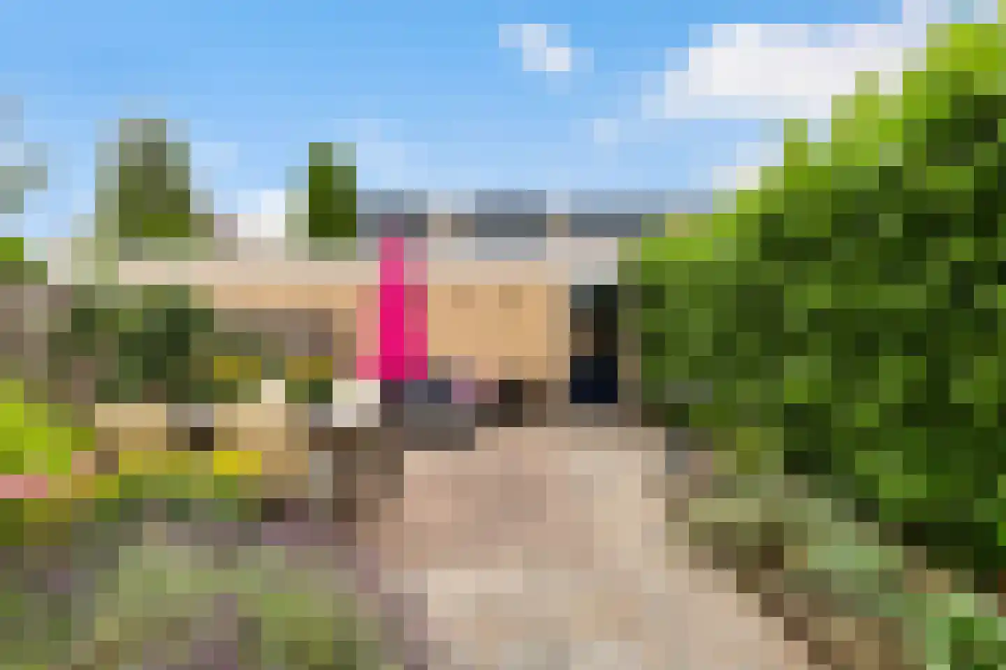 Bizetstraat 13 Capelle aan den IJssel thumbnail 22