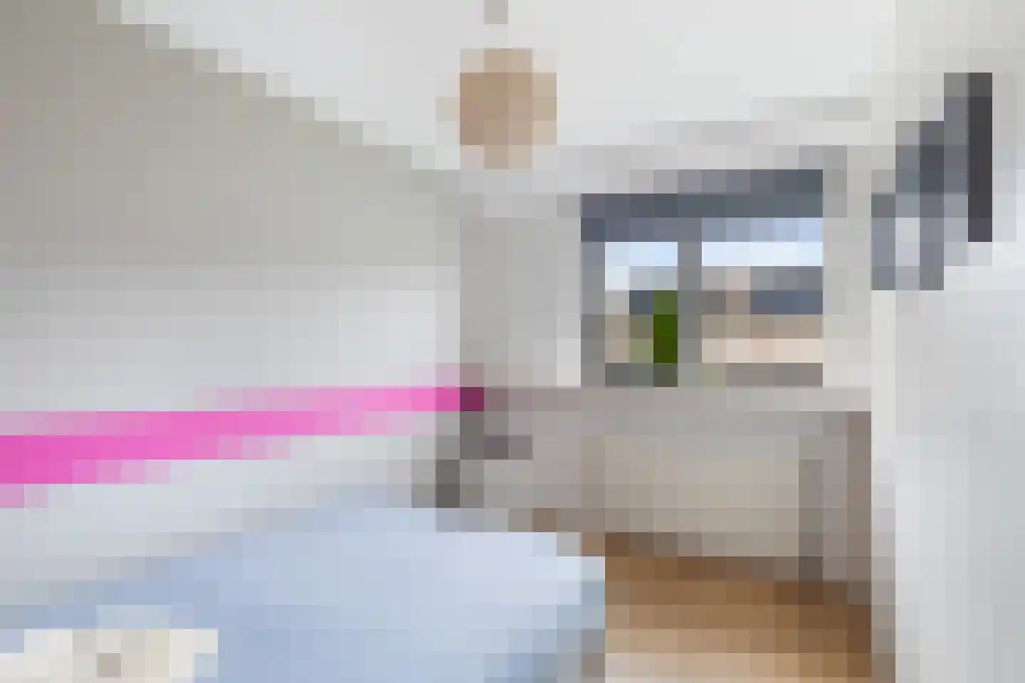 Bizetstraat 13 Capelle aan den IJssel thumbnail 33