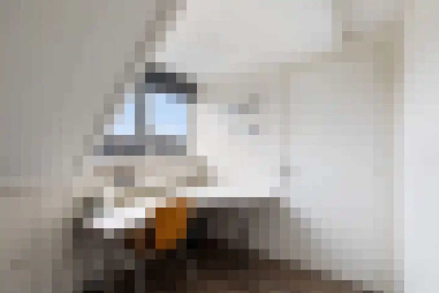 Bizetstraat 13 Capelle aan den IJssel thumbnail 42