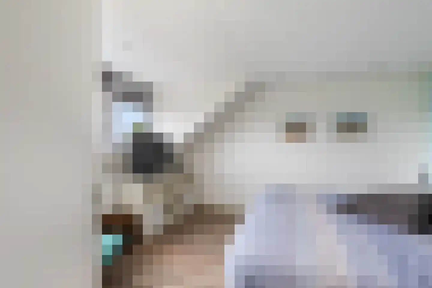 Bizetstraat 13 Capelle aan den IJssel thumbnail 43