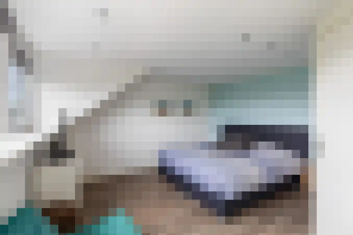 Bizetstraat 13 Capelle aan den IJssel thumbnail 44