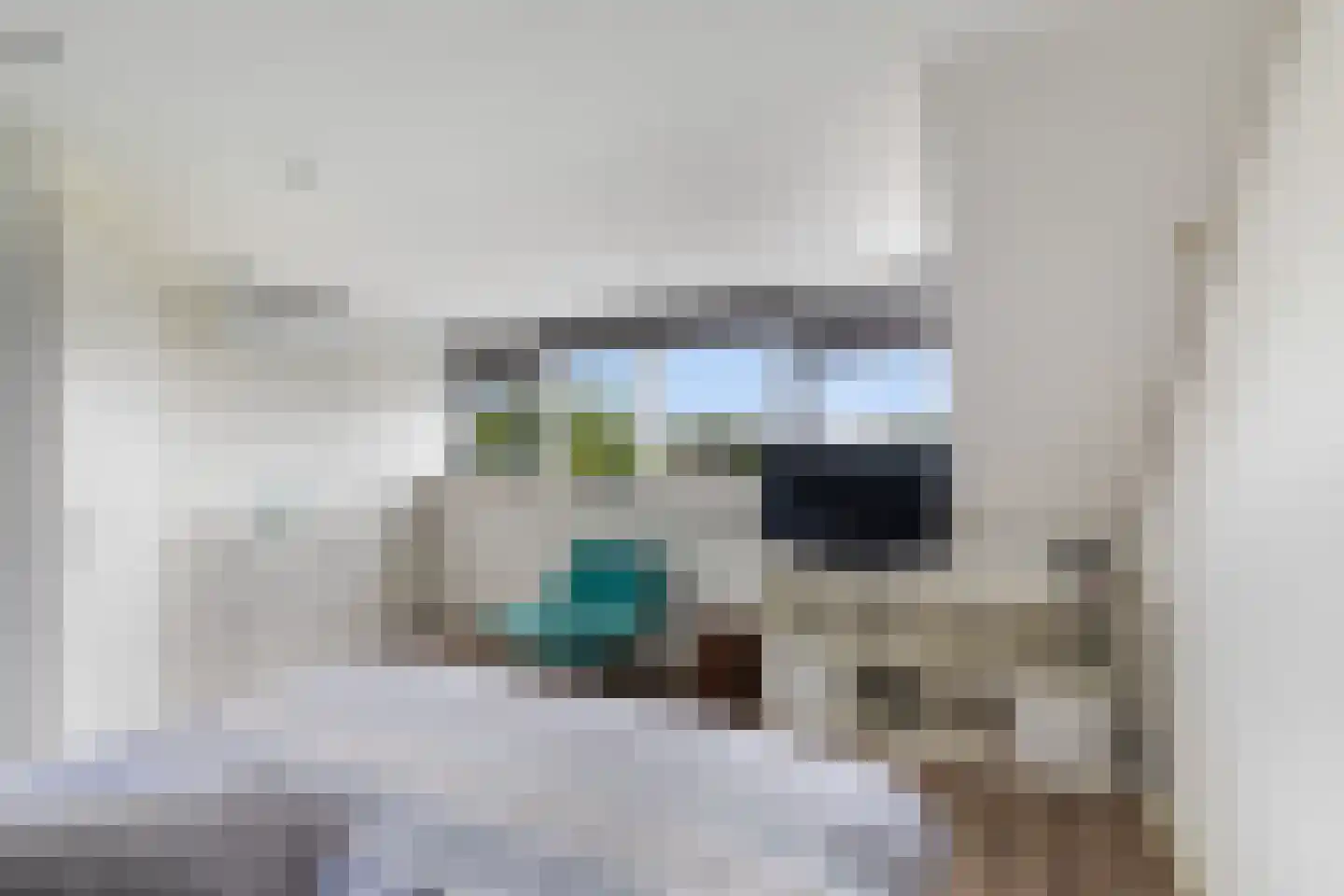 Bizetstraat 13 Capelle aan den IJssel thumbnail 46